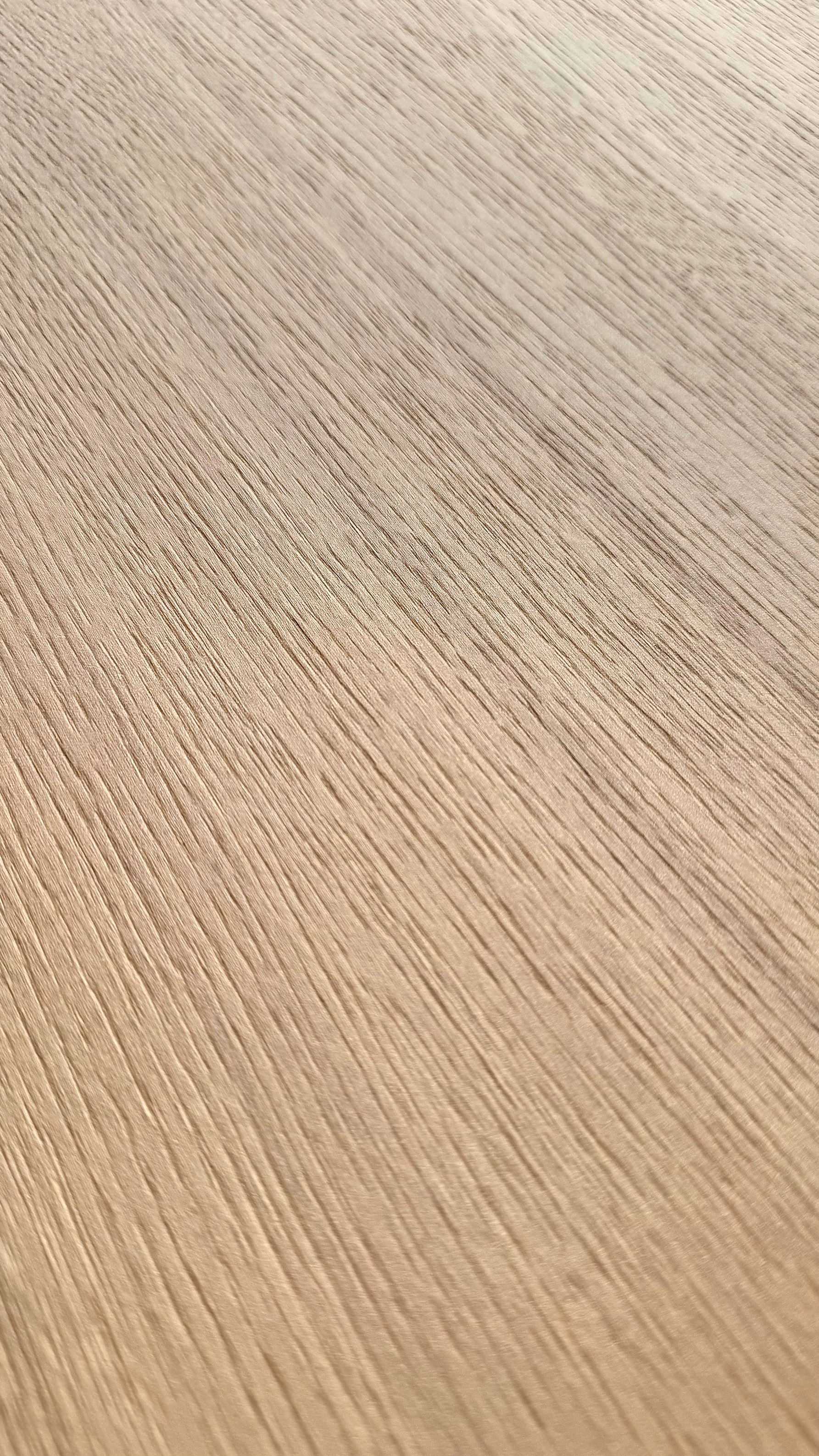 巴黎印橡